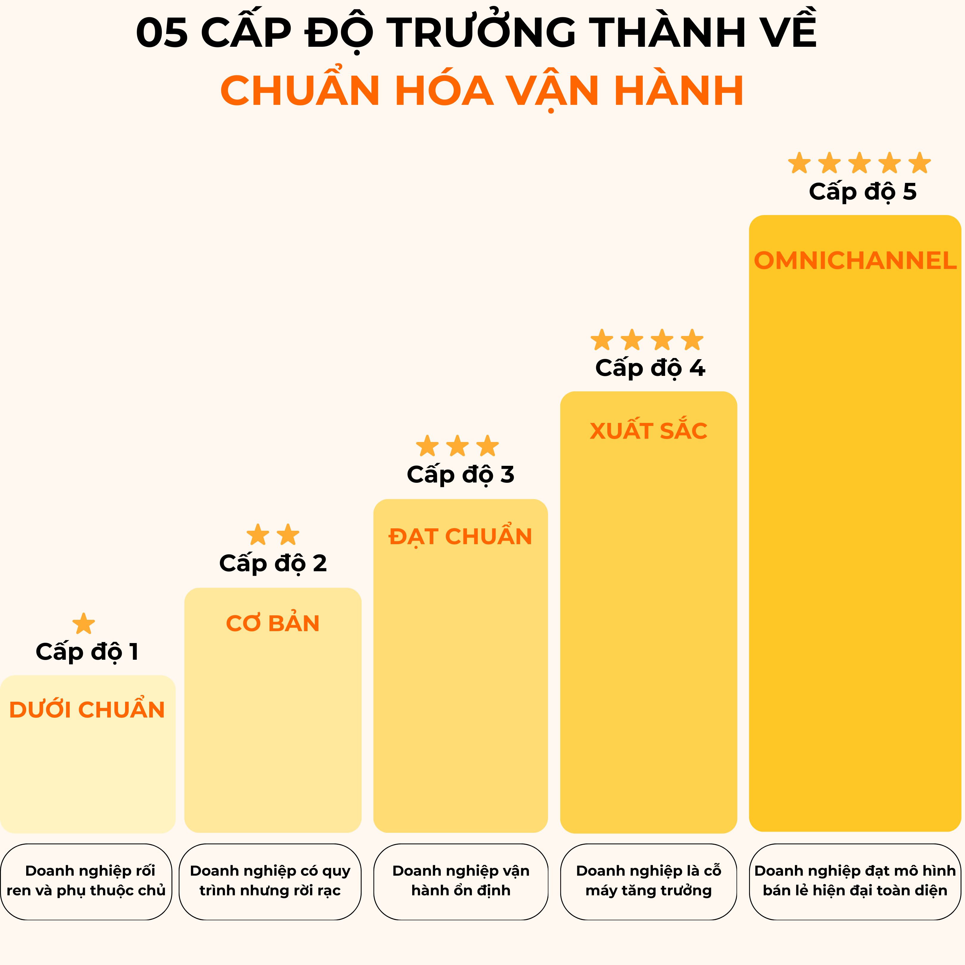 05 cấp độ trưởng thành vận hành: Dưới chuẩn → Cơ bản → Đạt chuẩn → Xuất sắc → Omnichannel